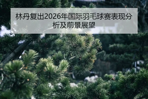 lin-dan-fu-chu-nian-guo-ji-yu-mao-qiu-sai-biao-xian-fen-xi-ji-qian-jing-zhan-wang-2-332.jpg