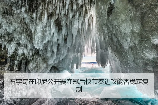 shi-yu-qi-zai-yin-ni-gong-kai-sai-duo-guan-hou-kuai-jie-zou-jin-gong-neng-fou-wen-ding-fu-zhi-2-993.jpg