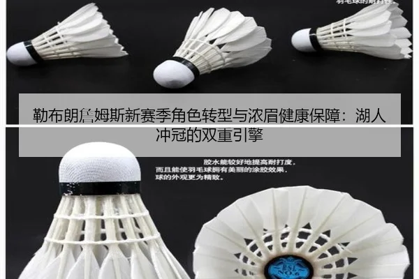 勒布朗詹姆斯新赛季角色转型与浓眉健康保障：湖人冲冠的双重引擎